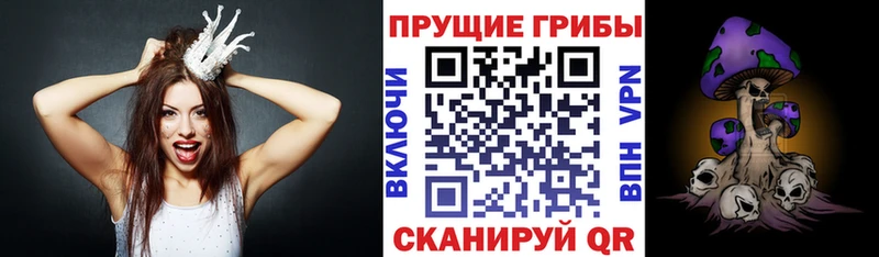 где продают   Чернушка  KRAKEN ссылки  Галлюциногенные грибы ЛСД 