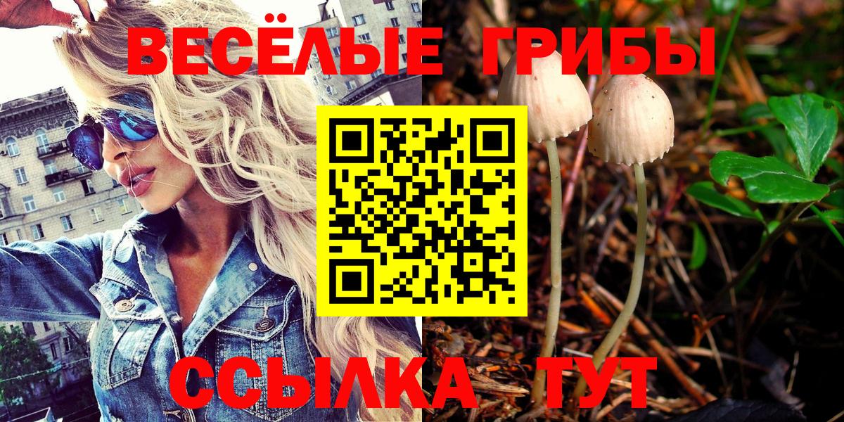 Галлюциногенные грибы Cubensis  Галлюциногенные грибы Magic Shrooms  Чернушка 