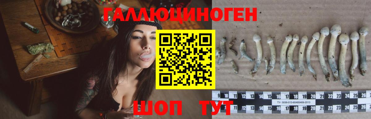 Псилоцибиновые грибы прущие грибы Чернушка