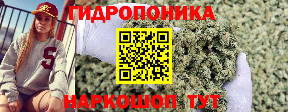 Шишки марихуана THC 21% Чернушка